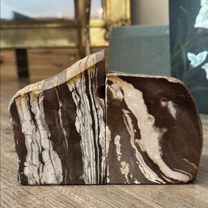 Jasperized Petrified Wood book ends